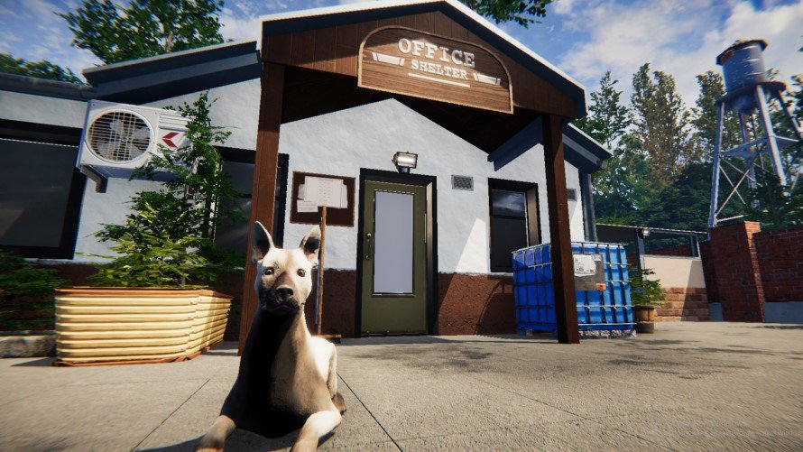 Testes de Animal Shelter já começaram na Steam
