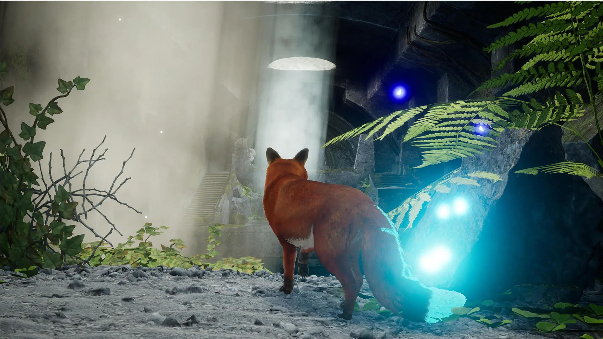 Spirit of the North 2_bg