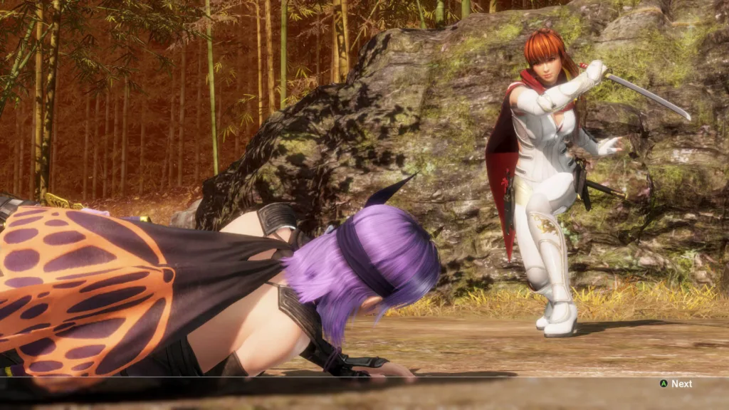 Dead or Alive 6 Last Round
